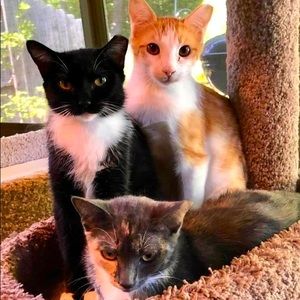 Meet your Posher, Becky